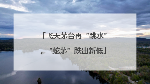 飞天茅台再“跳水”，“蛇茅”跌出新低