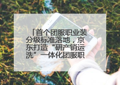 首个团服职业装分级标准落地，京东打造“研产销运洗”一体化团服职业装解决方案