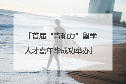 首届“青和力”留学人才嘉年华成功举办