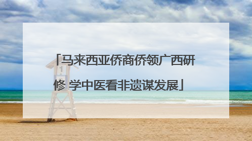 马来西亚侨商侨领广西研修 学中医看非遗谋发展