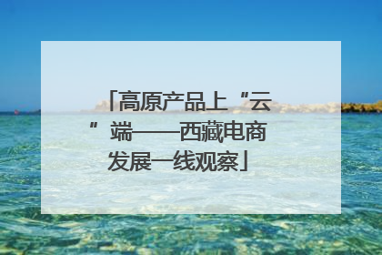 高原产品上“云”端——西藏电商发展一线观察