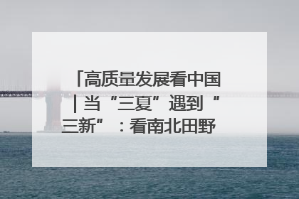 高质量发展看中国｜当“三夏”遇到“三新”：看南北田野里的科技共生记