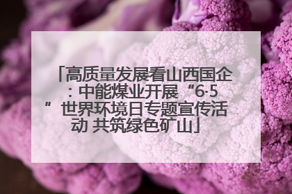高质量发展看山西国企：中能煤业开展“6·5”世界环境日专题宣传活动 共筑绿色矿山