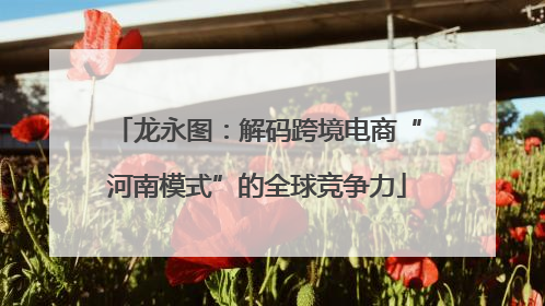 龙永图：解码跨境电商“河南模式”的全球竞争力