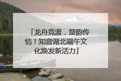 龙舟竞渡，楚韵传情！知音湖北端午文化焕发新活力