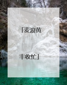 麦浪黄 丰收忙
