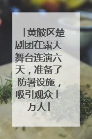 黄陂区楚剧团在露天舞台连演六天，准备了防暑设施，吸引观众上万人