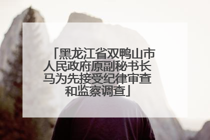 黑龙江省双鸭山市人民政府原副秘书长马为先接受纪律审查和监察调查