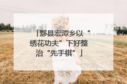 黟县宏潭乡以“绣花功夫”下好整治“先手棋”