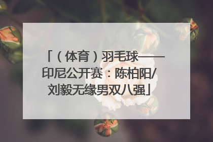 （体育）羽毛球——印尼公开赛：陈柏阳/刘毅无缘男双八强