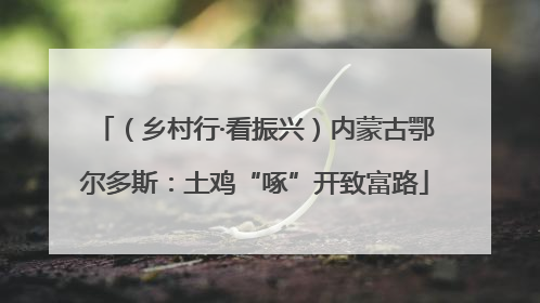 （乡村行·看振兴）内蒙古鄂尔多斯：土鸡“啄”开致富路