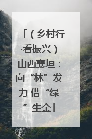 （乡村行·看振兴）山西襄垣：向“林”发力 借“绿”生金