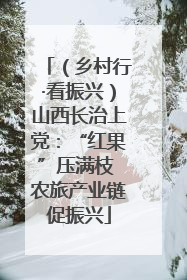 （乡村行·看振兴）山西长治上党：“红果”压满枝 农旅产业链促振兴