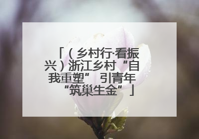 （乡村行·看振兴）浙江乡村“自我重塑” 引青年“筑巢生金”