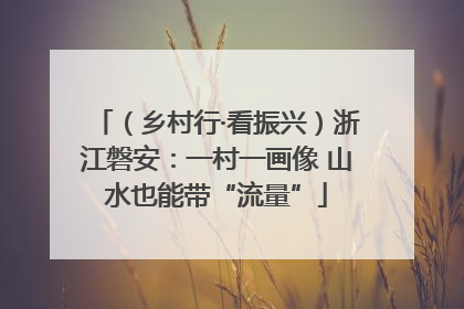（乡村行·看振兴）浙江磐安：一村一画像 山水也能带“流量”