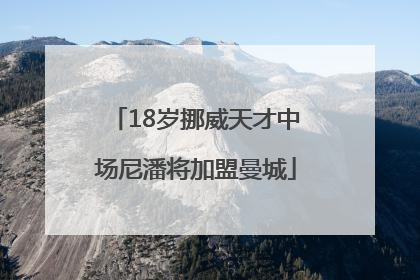 18岁挪威天才中场尼潘将加盟曼城