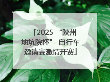 2025 “陕州地坑院杯” 自行车邀请赛激情开赛
