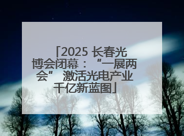 2025 长春光博会闭幕：“一展两会” 激活光电产业千亿新蓝图