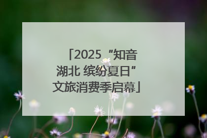 2025“知音湖北 缤纷夏日”文旅消费季启幕