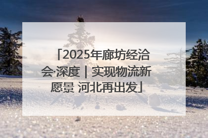 2025年廊坊经洽会·深度｜实现物流新愿景 河北再出发