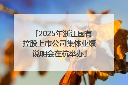 2025年浙江国有控股上市公司集体业绩说明会在杭举办