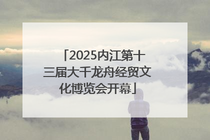 2025内江第十三届大千龙舟经贸文化博览会开幕