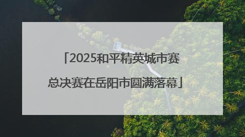 2025和平精英城市赛总决赛在岳阳市圆满落幕