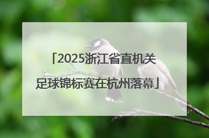 2025浙江省直机关足球锦标赛在杭州落幕