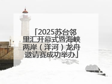 2025苏台邻里汇开幕式暨海峡两岸（洋河）龙舟邀请赛成功举办