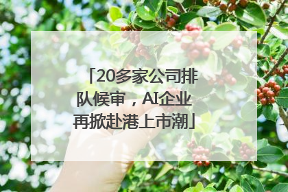 20多家公司排队候审，AI企业再掀赴港上市潮