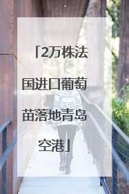 2万株法国进口葡萄苗落地青岛空港