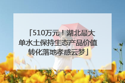 510万元！湖北最大单水土保持生态产品价值转化落地孝感云梦