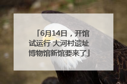 6月14日，开馆试运行 大河村遗址博物馆新馆要来了