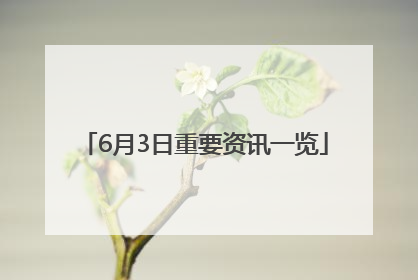 6月3日重要资讯一览