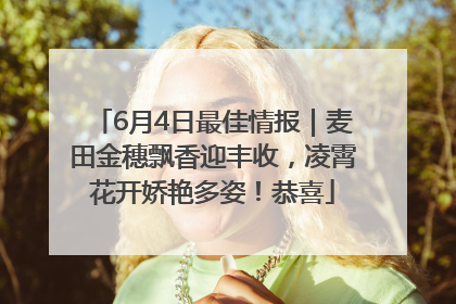 6月4日最佳情报｜麦田金穗飘香迎丰收，凌霄花开娇艳多姿！恭喜