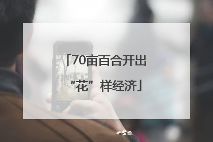 70亩百合开出“花”样经济