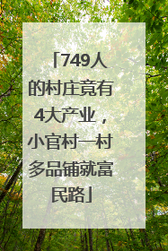 749人的村庄竟有4大产业，小官村一村多品铺就富民路