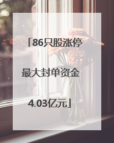 86只股涨停 最大封单资金4.03亿元