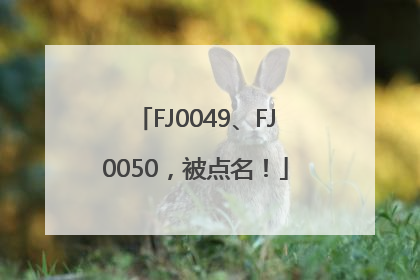 FJ0049、FJ0050，被点名！